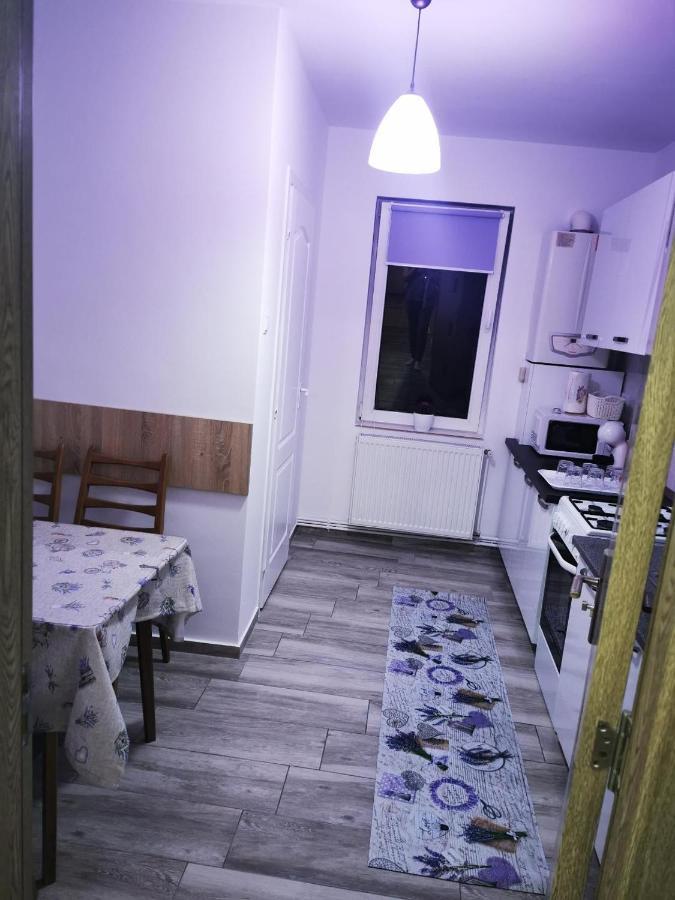 Violet Residence Târgu-Mureş Buitenkant foto