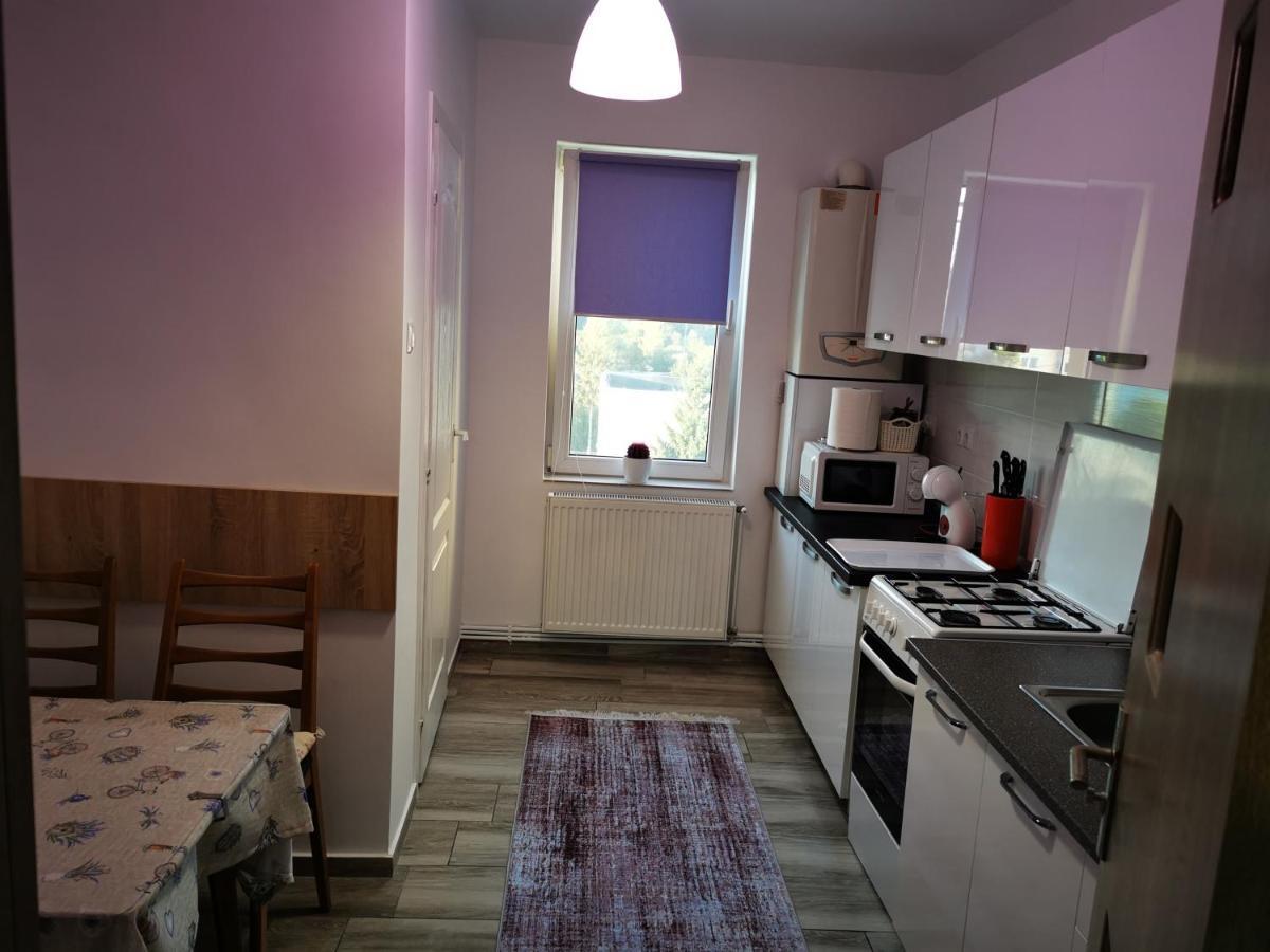 Violet Residence Târgu-Mureş Buitenkant foto